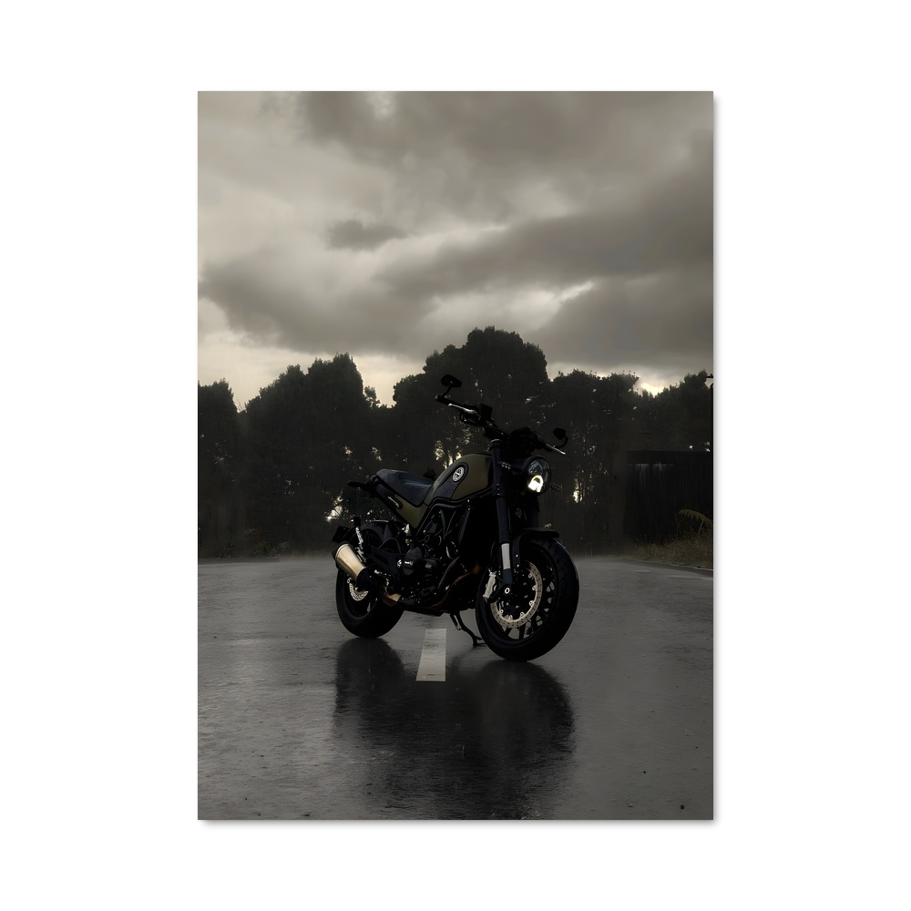 Poster Charme du Leoncino